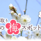 京都の梅スポットと銭湯特集を公開しました！