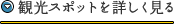 観光スポットを詳しく見る