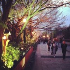 桜シーズンの祇園