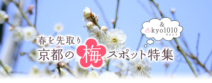 春を先取り 京都の梅＆銭湯スポット特集