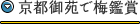 京都御苑で梅鑑賞